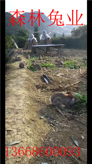 ӽҰõģӽҰöǮһֻ