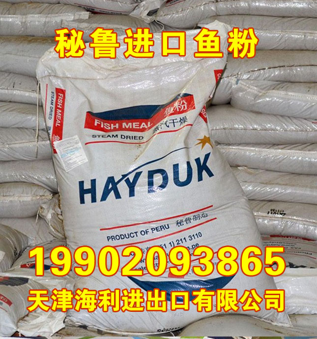 ³ۼ۸ ۵; 65 HAYDUK