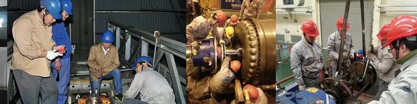 �ֳ���������