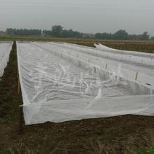 �������� ����ũ�������ֳ�� 40Ŀ�Ӻ� ���Ϸ����� ������