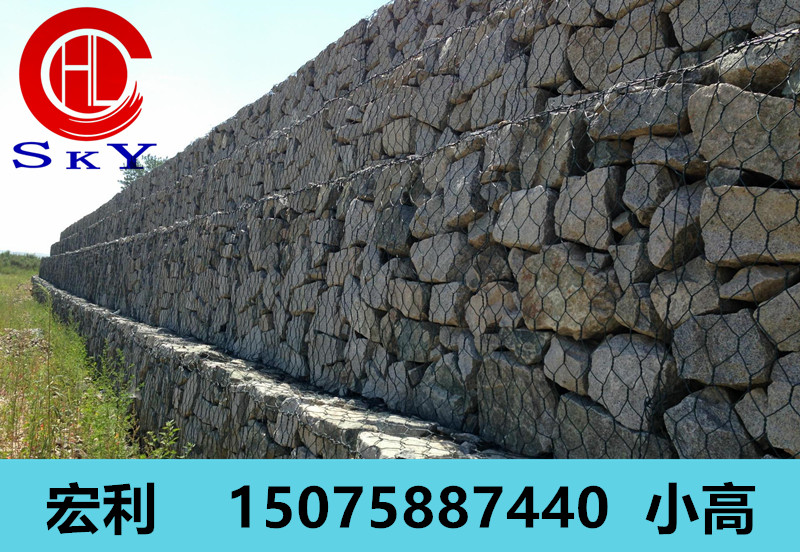 Ӱ̷ŵ桢˫ŵ桢̬Ǧ˿