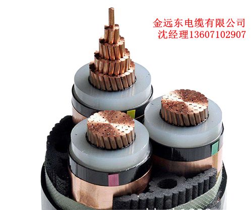 ��װ������ѹͭ��о����8.5/15KV ���걣�� ��Զ���������޹�˾