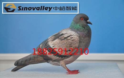 ��ɽ��������3d��ӡȫ��ģ�ͷ���3d��ӡ��������